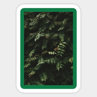 Foliage Sticker